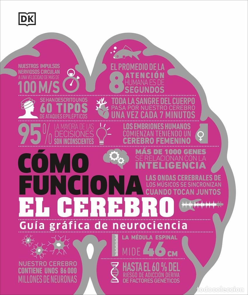 Libros: C&oacute;mo funciona el cerebro - DK - Foto 1