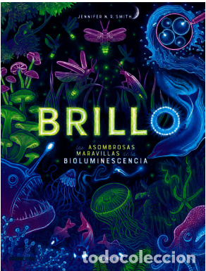 Libros: BRILLO - N.R. SMITH, JENNIFER - Foto 1
