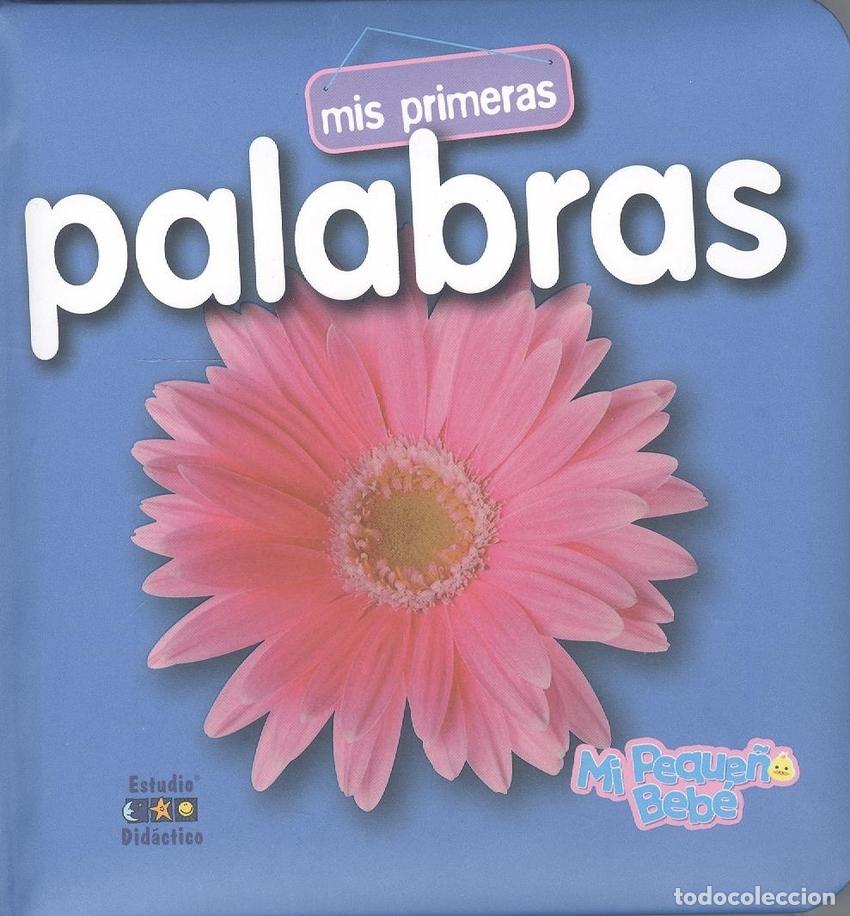 Libros: MIS PRIMERAS PALABRAS - AA.VV - Foto 1