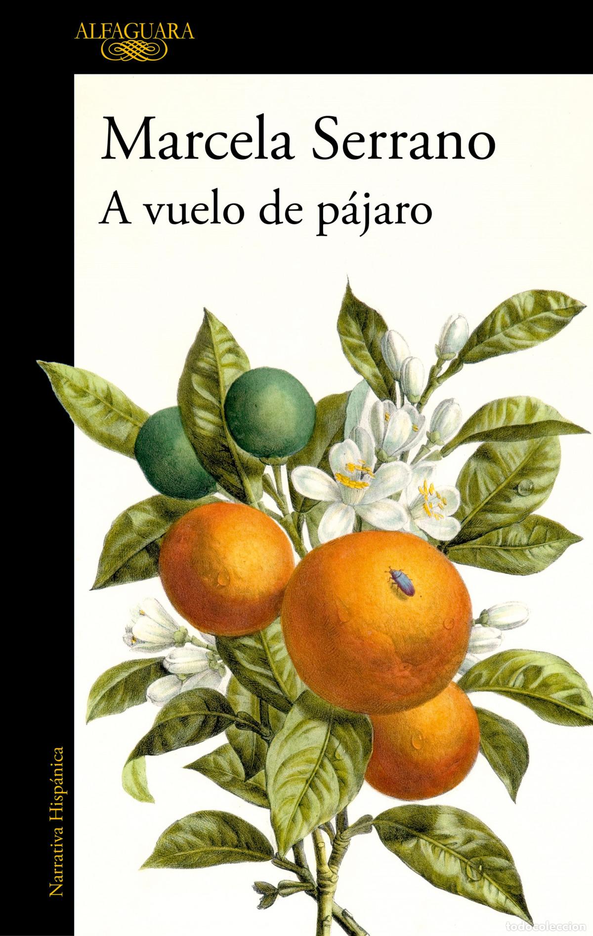 Libros: A VUELO DE P&Aacute;JARO - Serrano, Marcela - Foto 1
