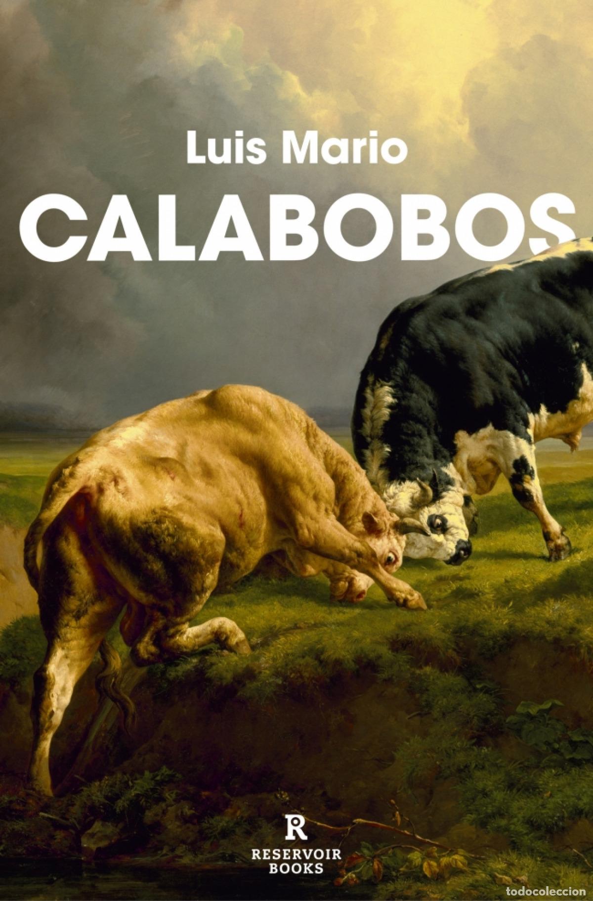 Libros: Calabobos - Luis Mario - Foto 1