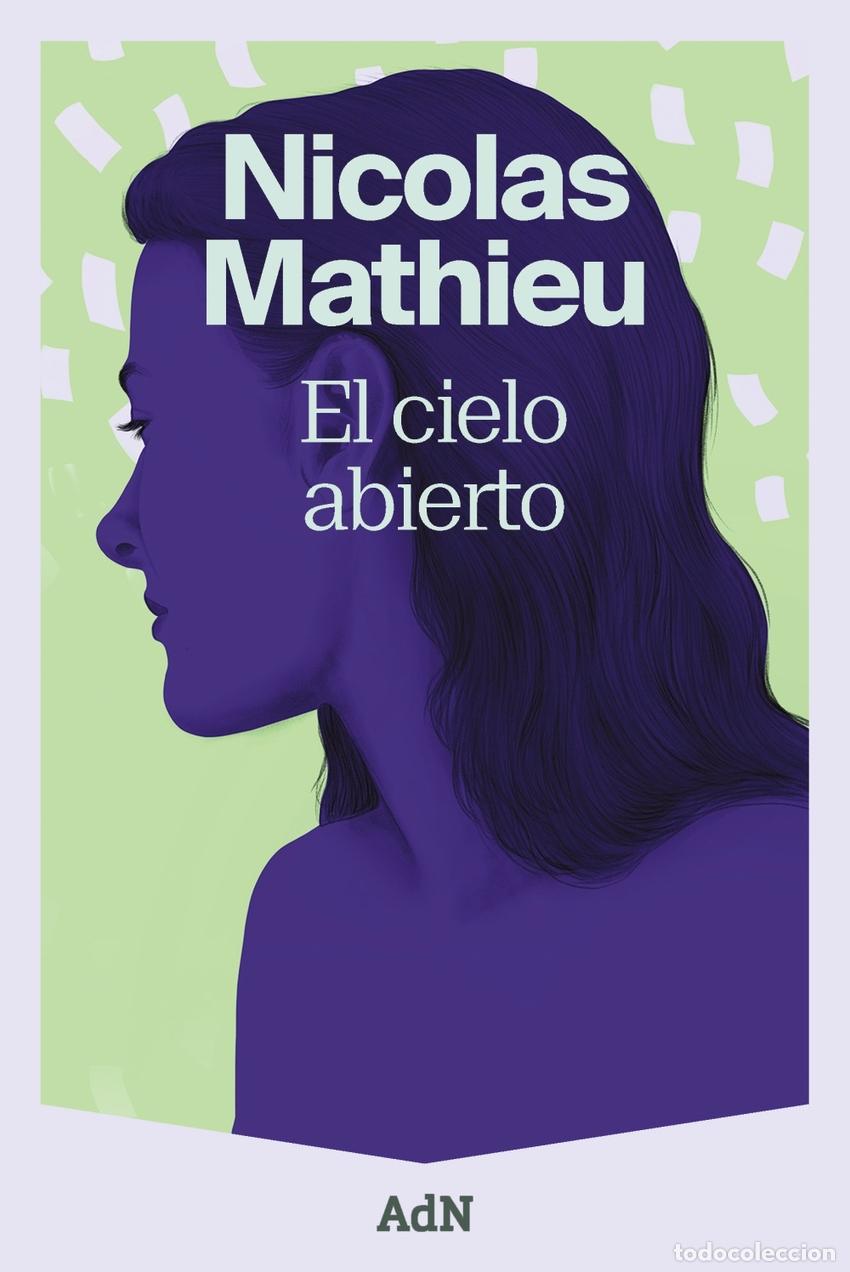 Libros: El cielo abierto - Mathieu, Nicolas - Foto 1