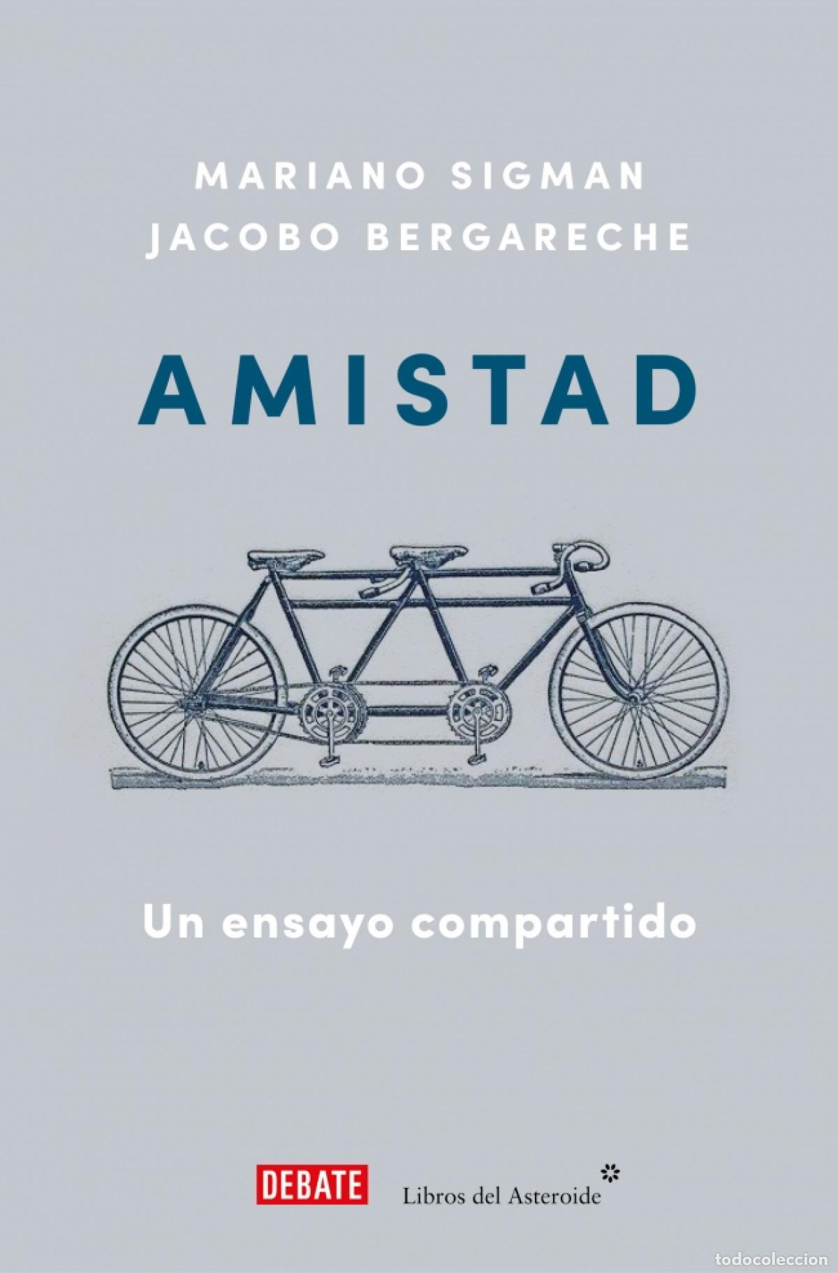 Libros: Amistad - Bergareche, Jacobo - Foto 1