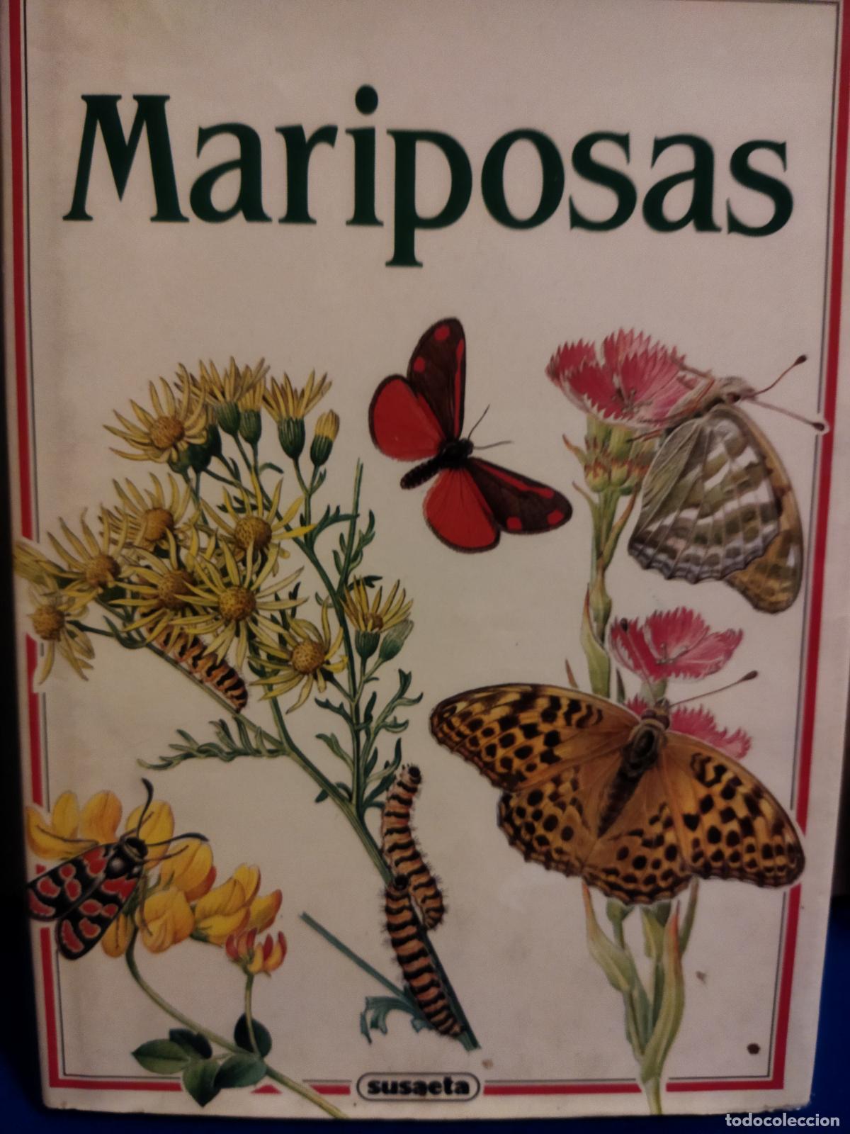 Libros: Mariposas Ivo Novak susaeta