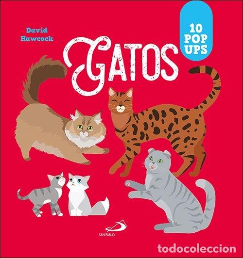 Libros: GATOS - Hawcock, David - Foto 1