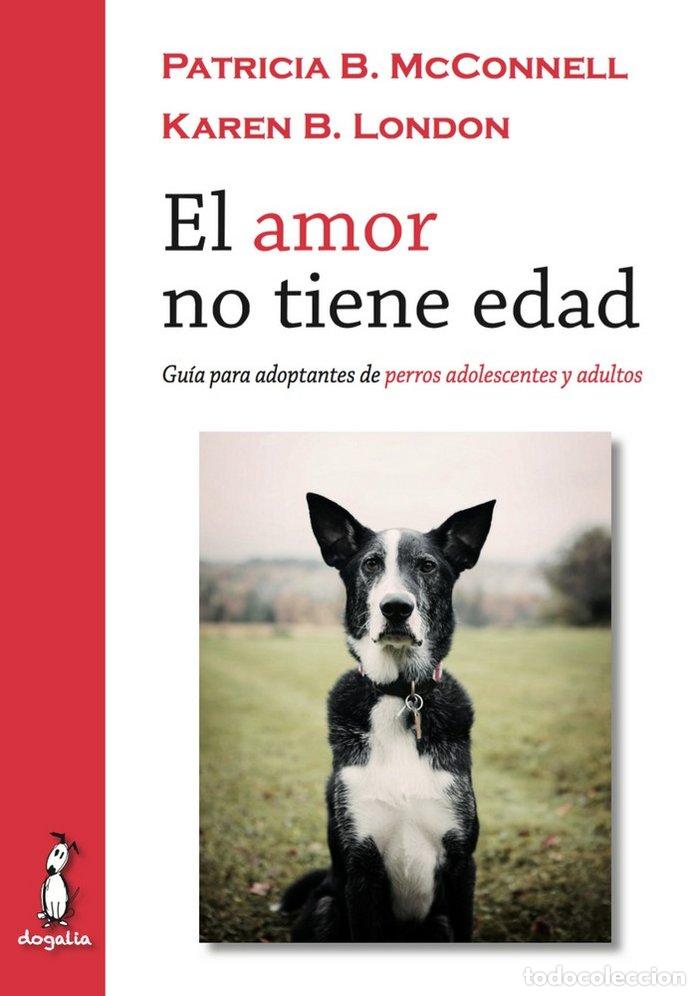 B&uuml;cher: EL AMOR NO TIENE EDAD - VV.AA.