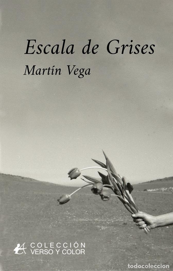 Libros: ESCALA DE GRISES - Vega, Martin - Foto 1