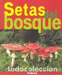 Libros: SETAS DEL BOSQUE - Varios autores - Foto 1