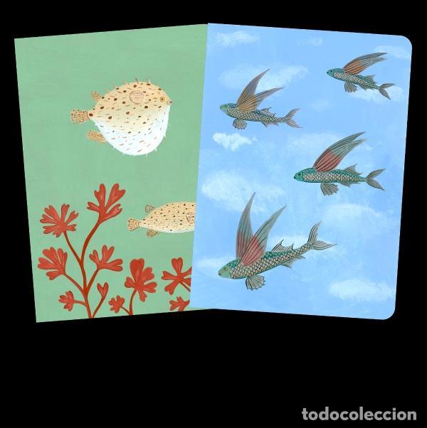 Libros: Pack 2 cuadernos cosidos Brianda - VV.AA. - Foto 1