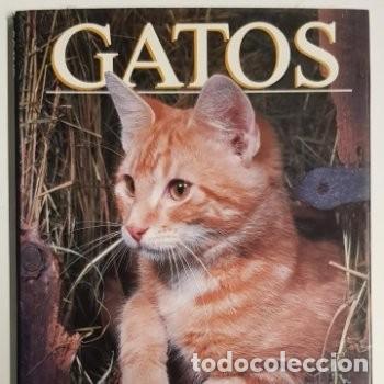 Libros: LIBRO SOBRE GATOS.... - Foto 1