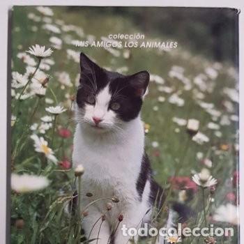 Libros: LIBRO SOBRE GATOS.... - Foto 2