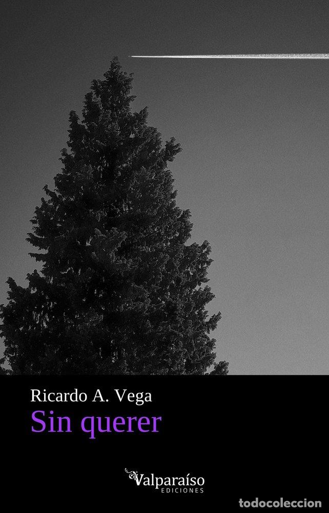 Libros: SIN QUERER - VEGA, RICARDO A - Foto 1