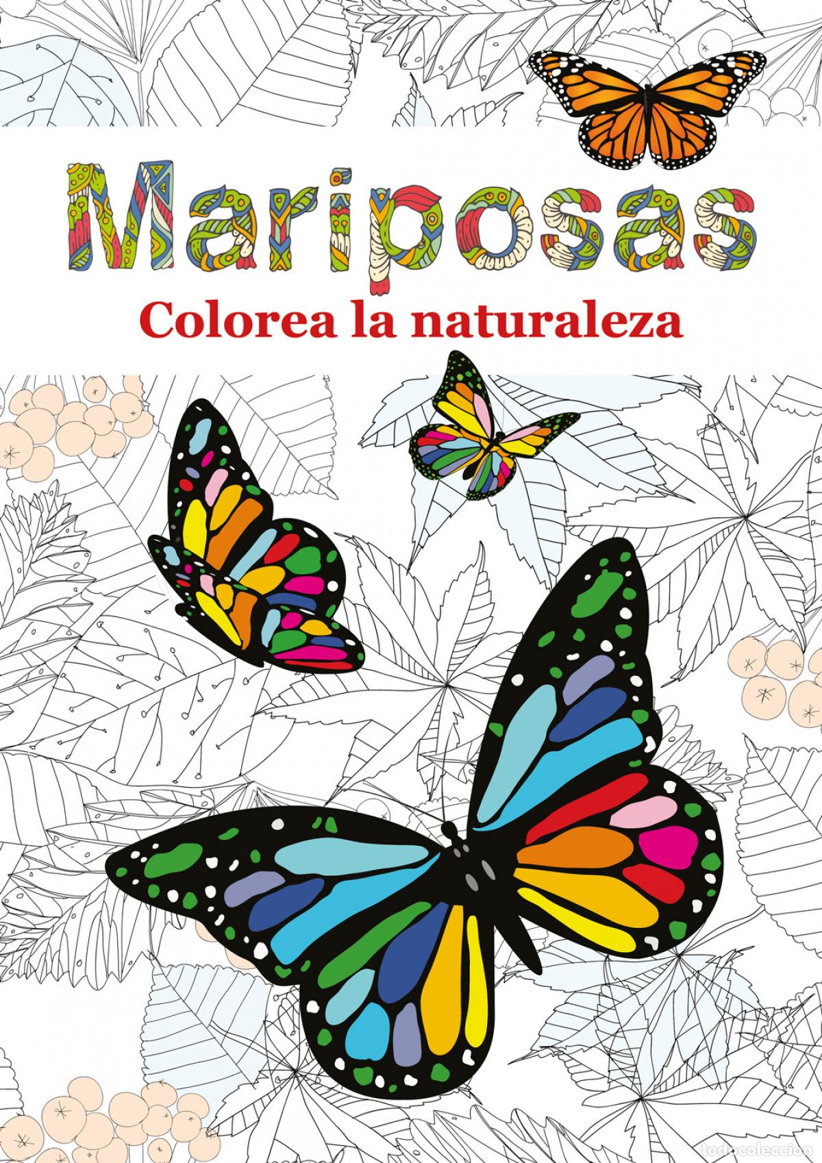 Libros: MARIPOSAS - VVV AA.. - Foto 1