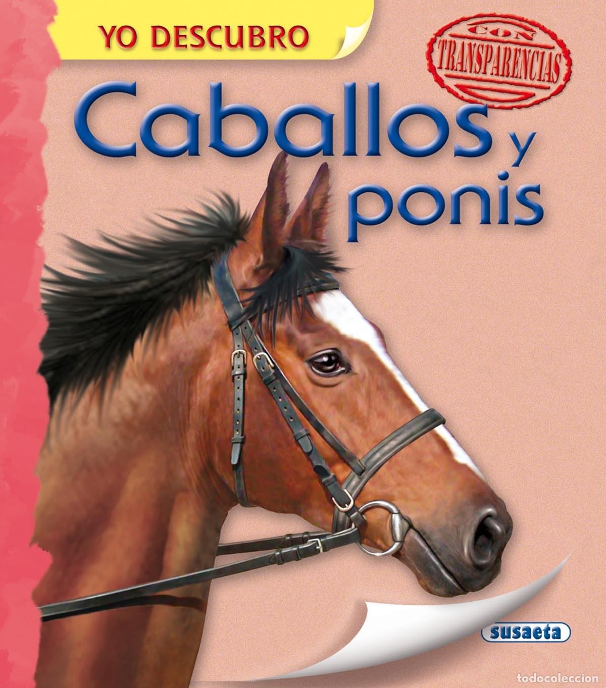 Libros: CABALLOS Y PONIS - AA.VV. - Foto 1