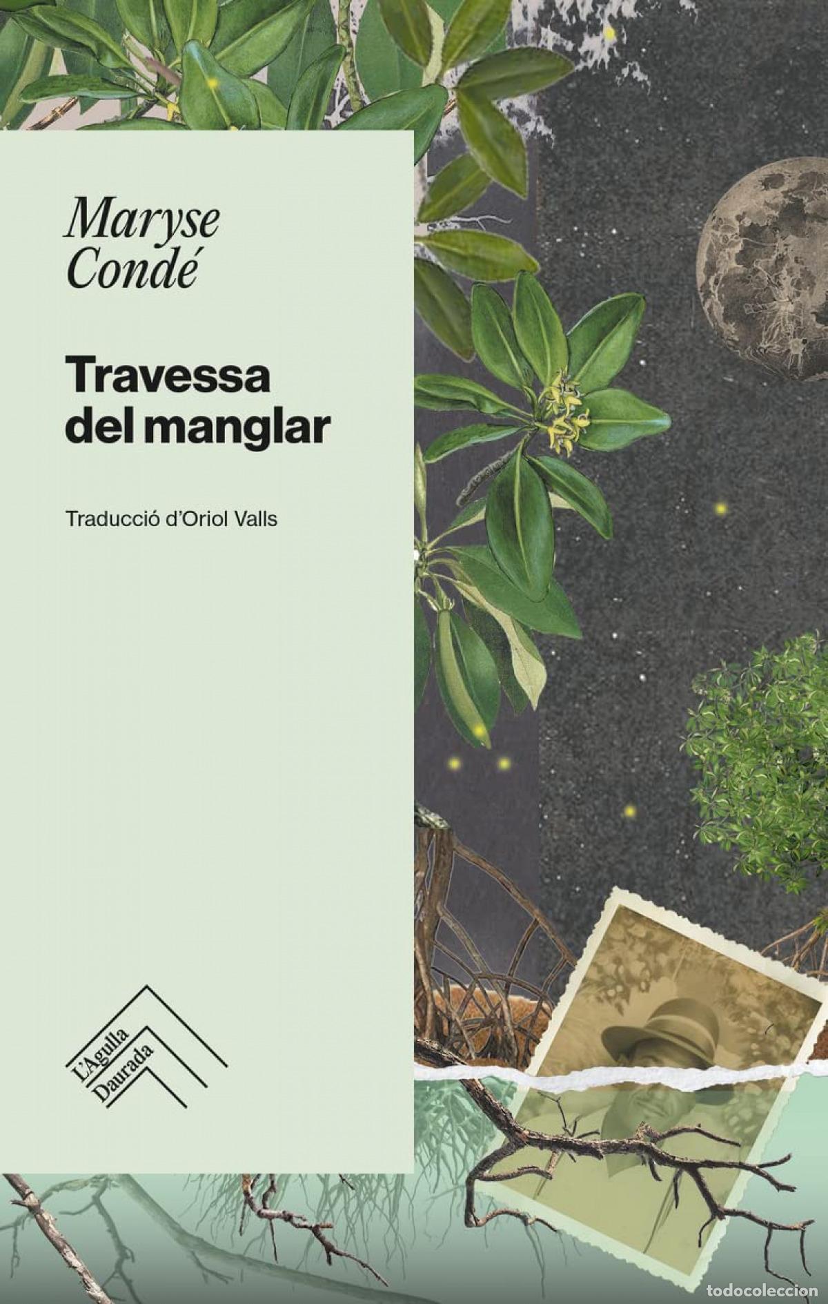 Libri: TRAVESSA DEL MANGLAR - Cond&eacute;, Maryse