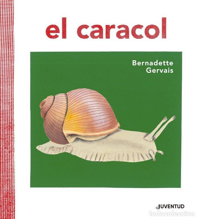 Libri: EL CARACOL - Gervais, Bernadette