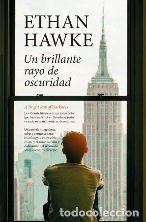 Livros: UN BRILLANTE RAYO DE OSCURIDAD - HAWKE,ETHAN
