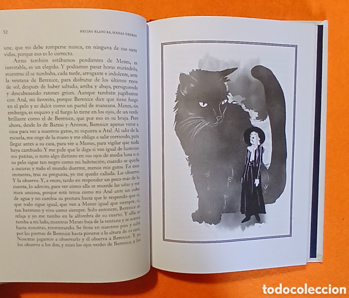 Libros: Brujas blancas, Hadas negras - Foto 5