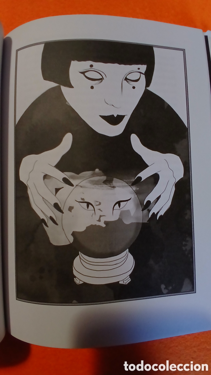 Libros: Brujas blancas, Hadas negras - Foto 6