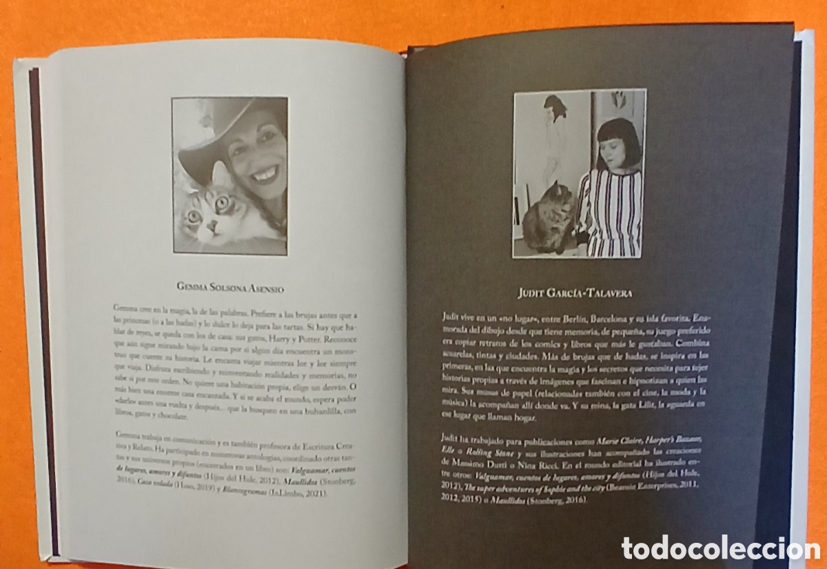 Libros: Brujas blancas, Hadas negras - Foto 9