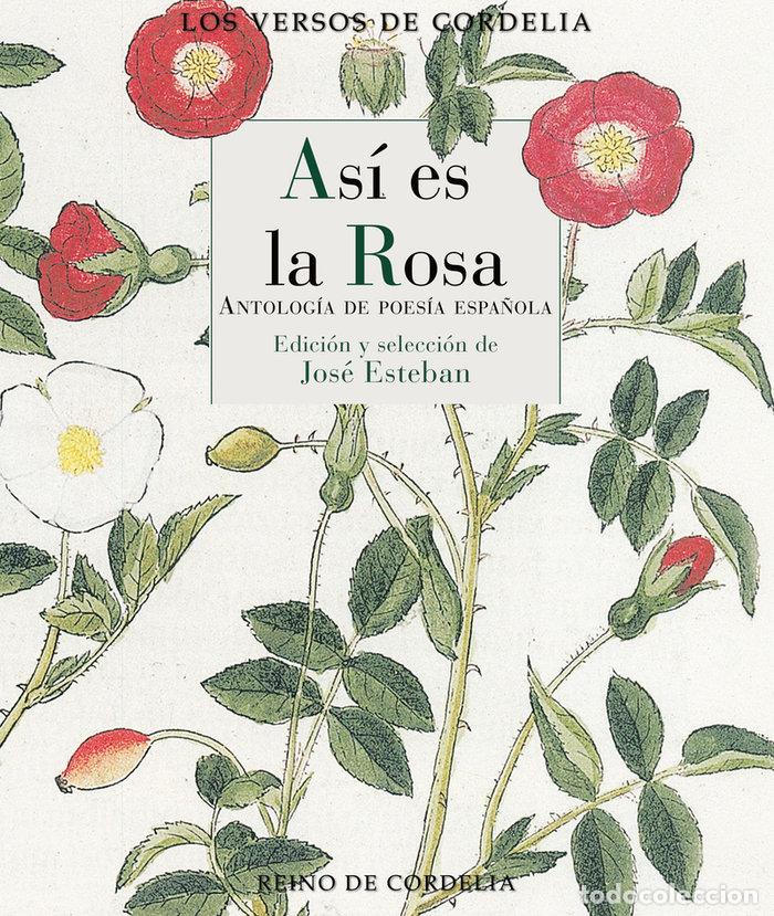 Libros: AS&Iacute; ES LA ROSA - AA VV - Foto 1