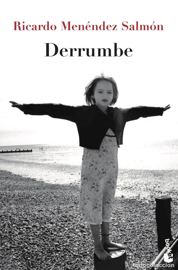 Libros: DERRUMBE - Ricardo Men&eacute;ndez Salm&oacute;n - Foto 1
