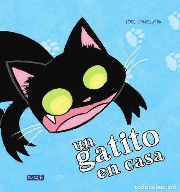 Libros: UN GATITO EN CASA - FONOLLOSA, JOSE MIGUEL