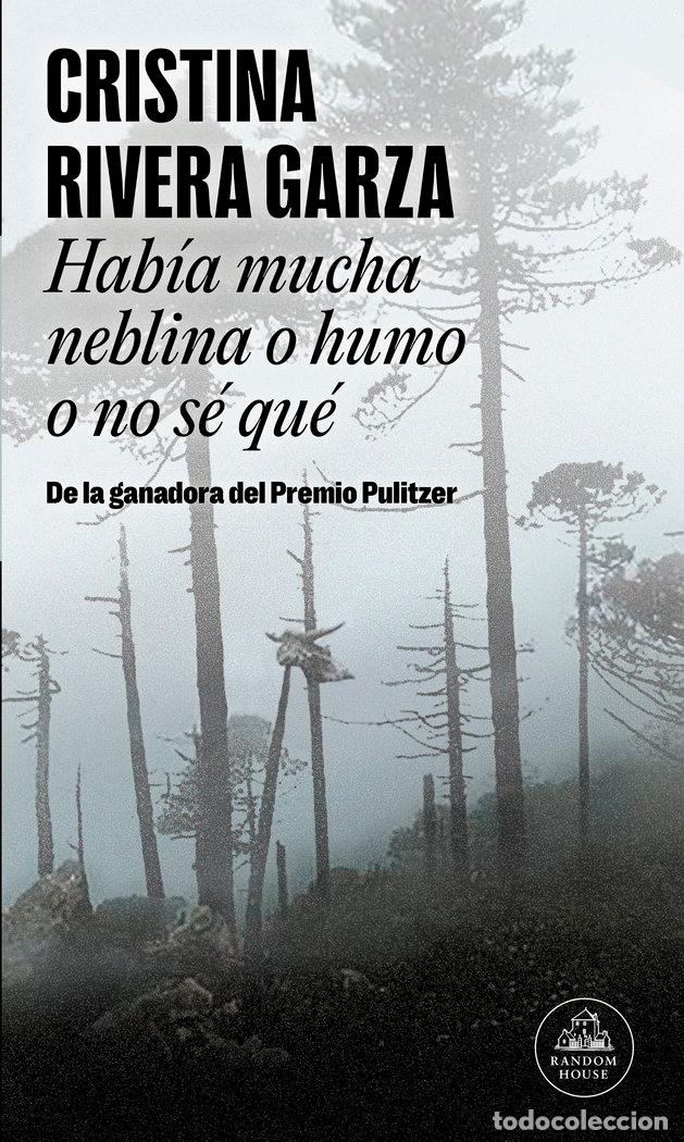 Libri: HABIA MUCHA NEBLINA O HUMO O NO SE QUE (MAPA DE LAS LENGUAS) - RIVERA GARZA, CRISTINA