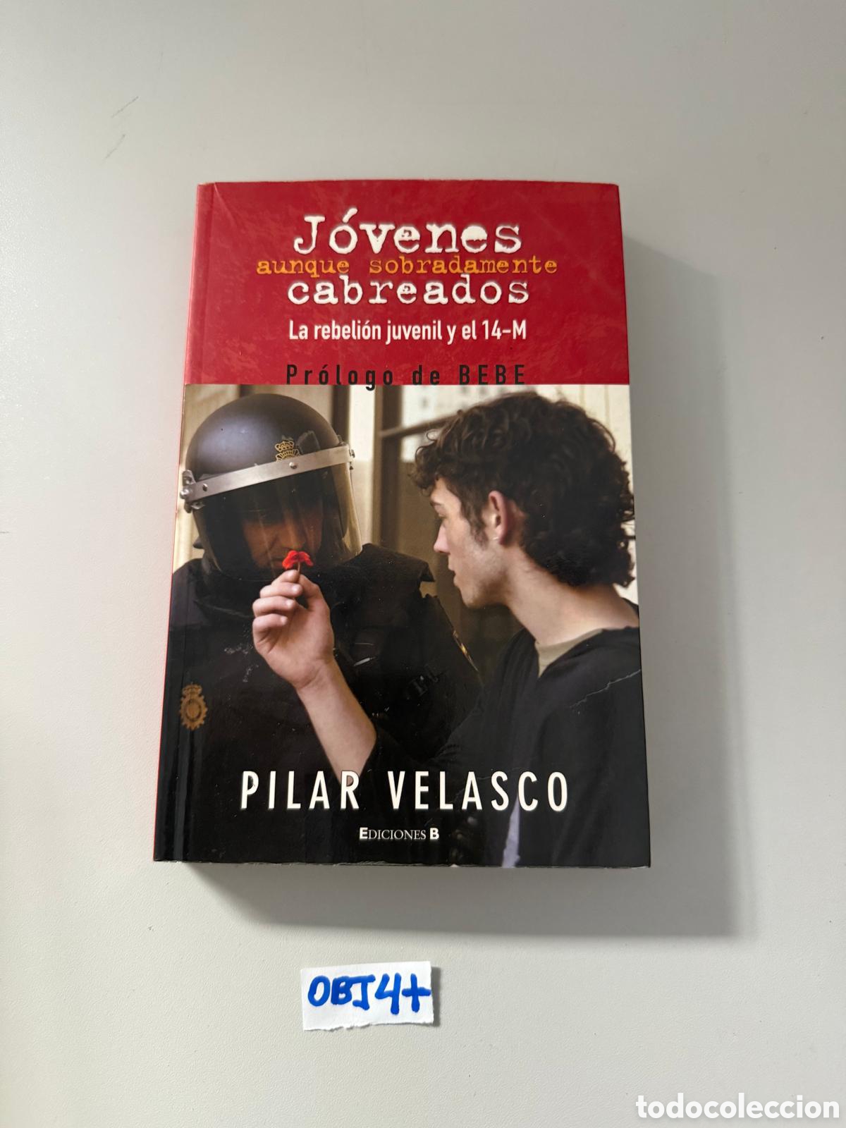 Libros: Libro de J&oacute;venes cabreados - Foto 1