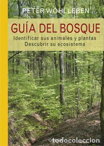 Libros: GU&Iacute;A DEL BOSQUE - Wohlleben, Peter - Foto 1