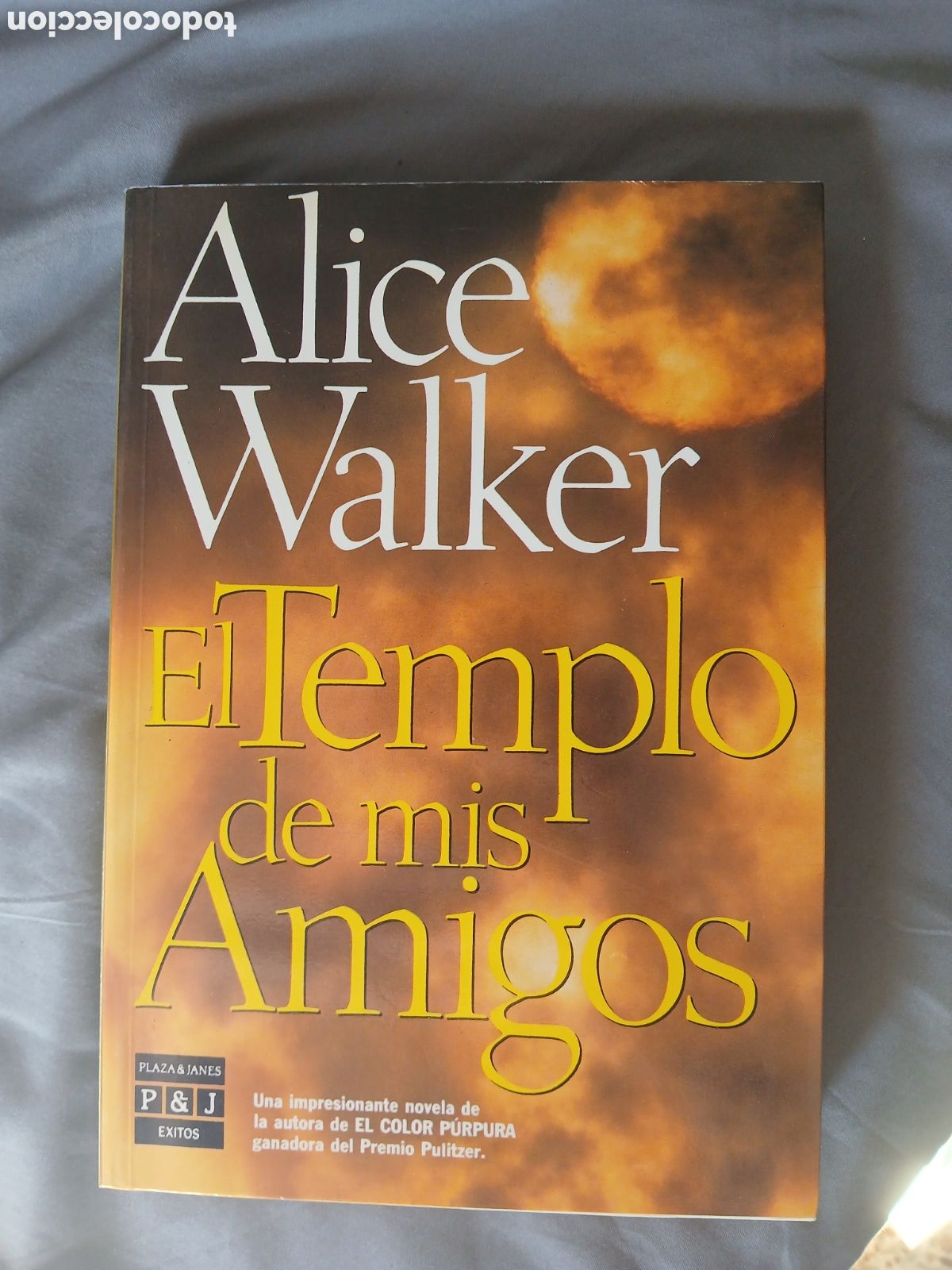 Livros: EL TEMPLO DE MIS AMIGOS ALICE WALKER.