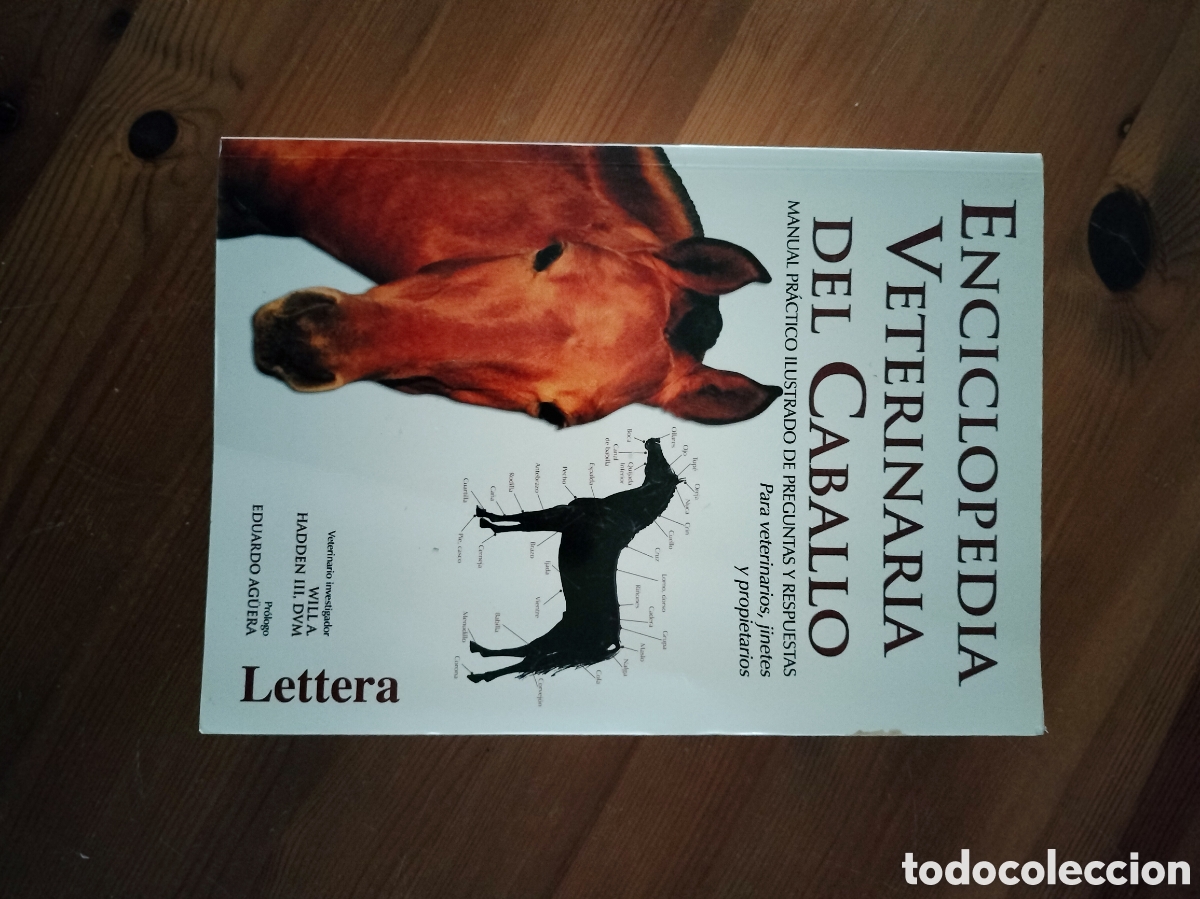B&uuml;cher: enciclopedia veterinaria del caballo