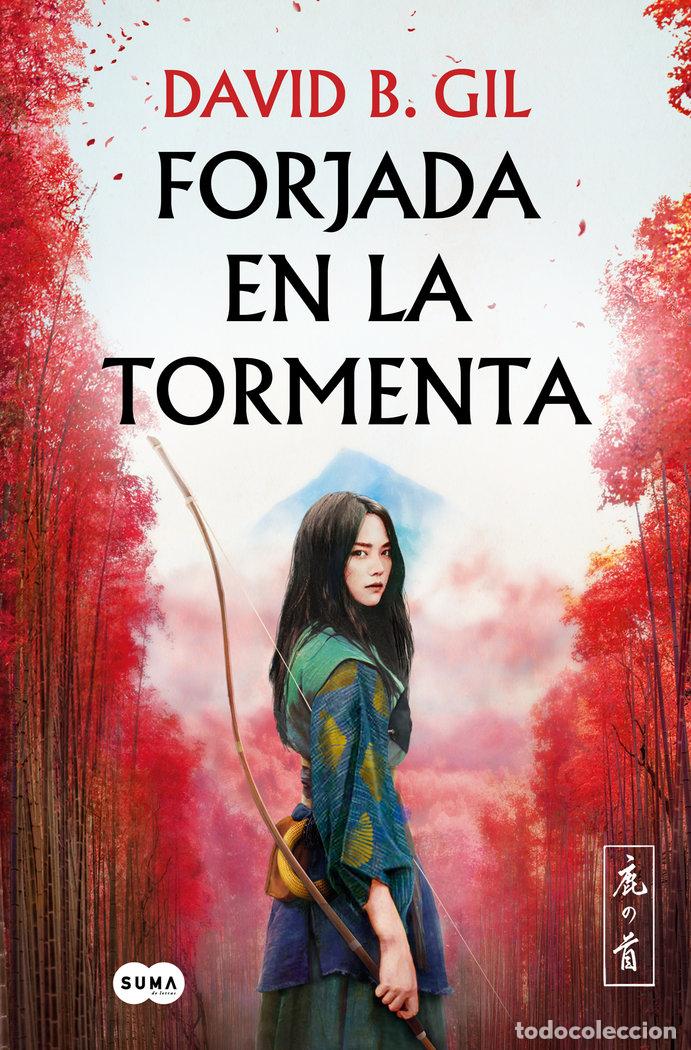 Libros: FORJADA EN LA TORMENTA - Gil, David B - Foto 1