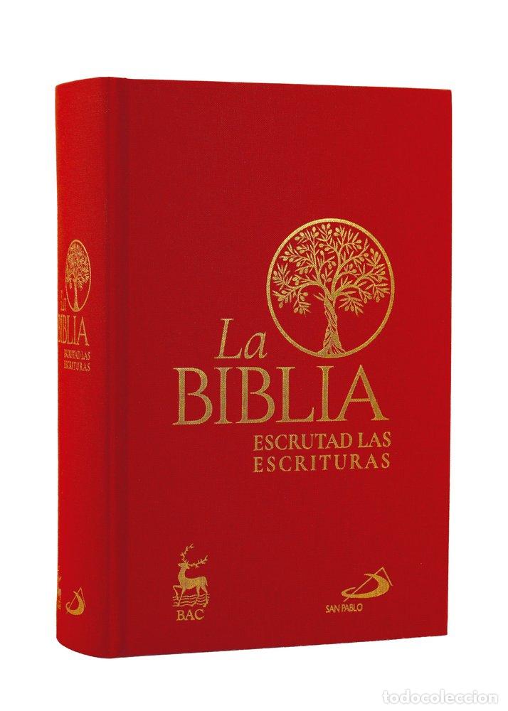Livros: LA BIBLIA. ESCRUTAD LAS ESCRITURAS - Voltaggio, Francesco Giosu&egrave;