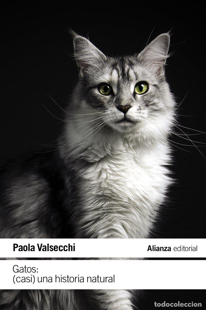 Libros: GATOS CASI UNA HISTORIA NATURAL - VALSECCHI, PAOLA