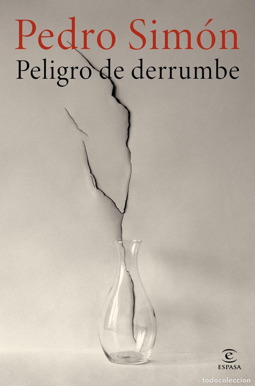 Libros: PELIGRO DE DERRUMBE - Sim&oacute;n, Pedro - Foto 1