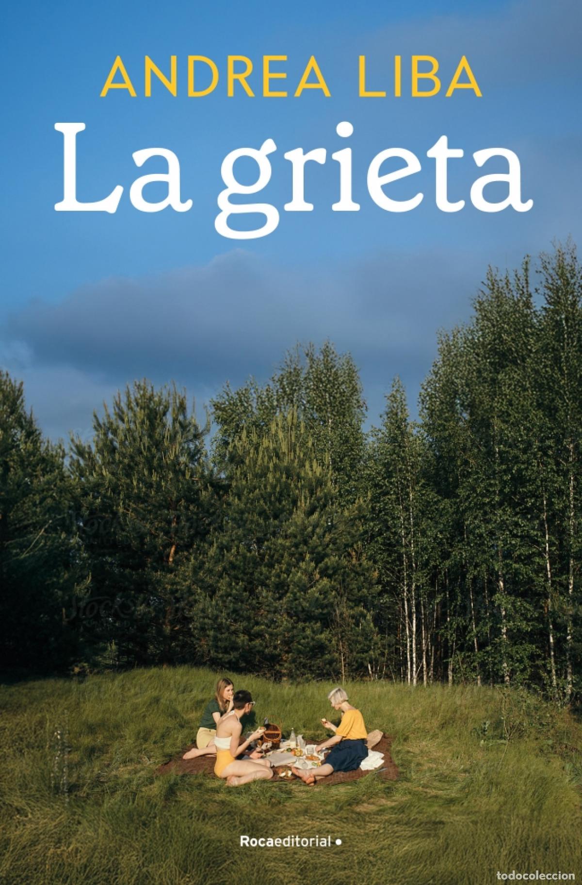 Libros: LA GRIETA - Liba, Andrea - Foto 1