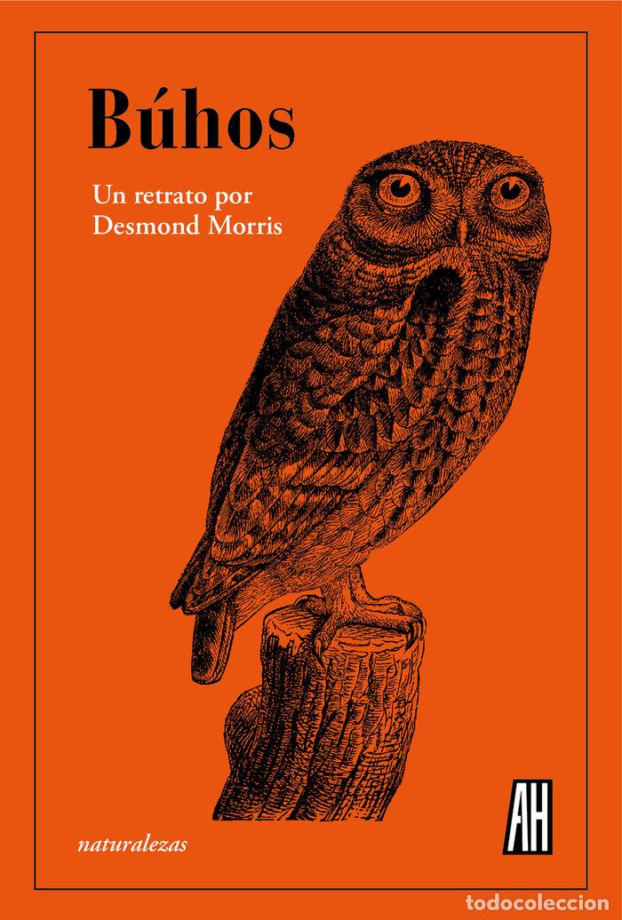 Libri: Buhos - Morris, Desmond