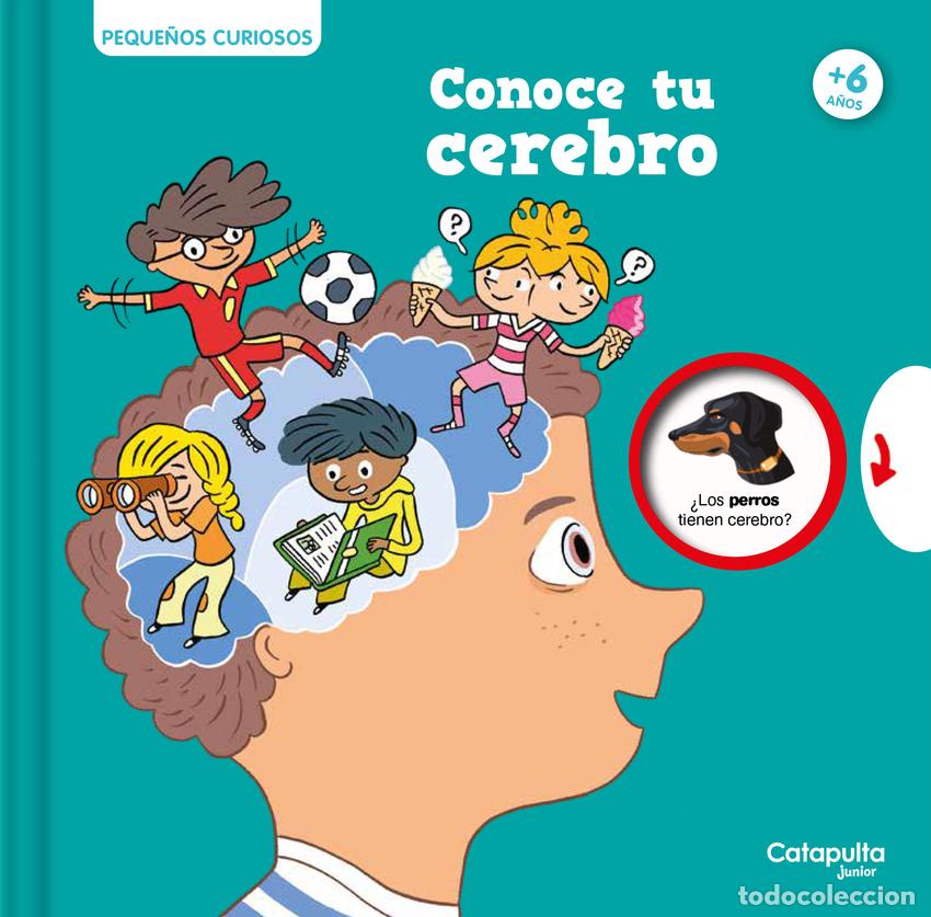 B&uuml;cher: PEQUE&Ntilde;OS CURIOSOS: CONOCE TU CEREBRO - Houd&eacute;, Olivier