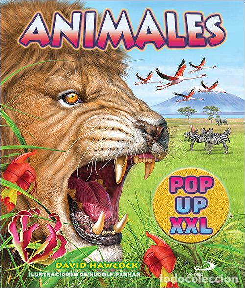 Libros: ANIMALES POP UP XXL - HAWCOCK, DAVID