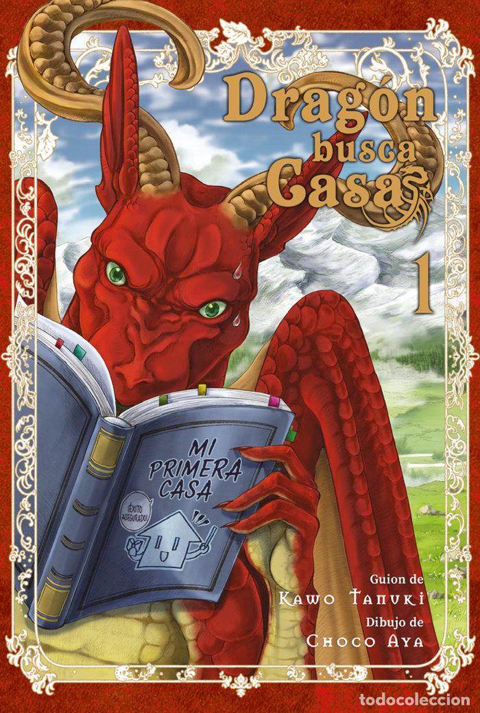 B&uuml;cher: DRAG&Oacute;N BUSCA CASA - Tanuki, Kawo