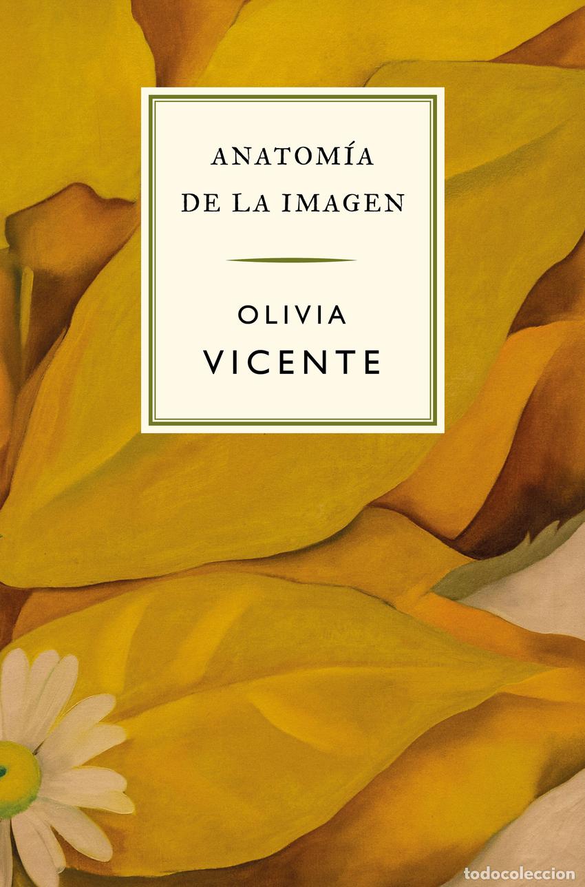 Libri: ANATOM&Iacute;A DE LA IMAGEN - Vicente, Olivia