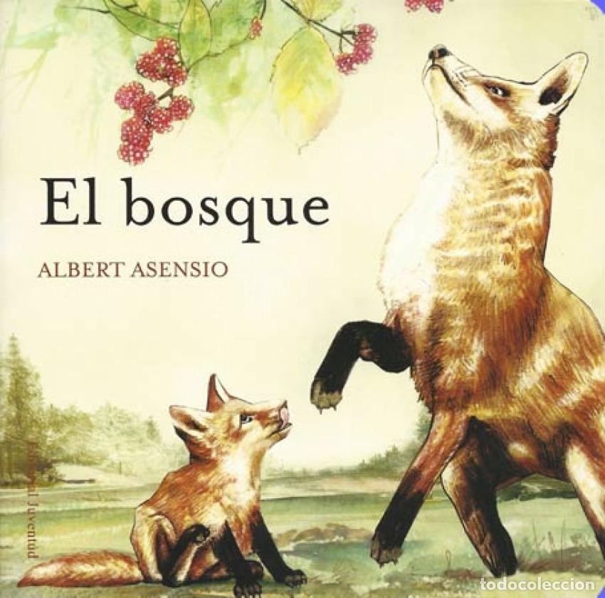 Libros: EL BOSQUE - Asensio, Albert - Foto 1