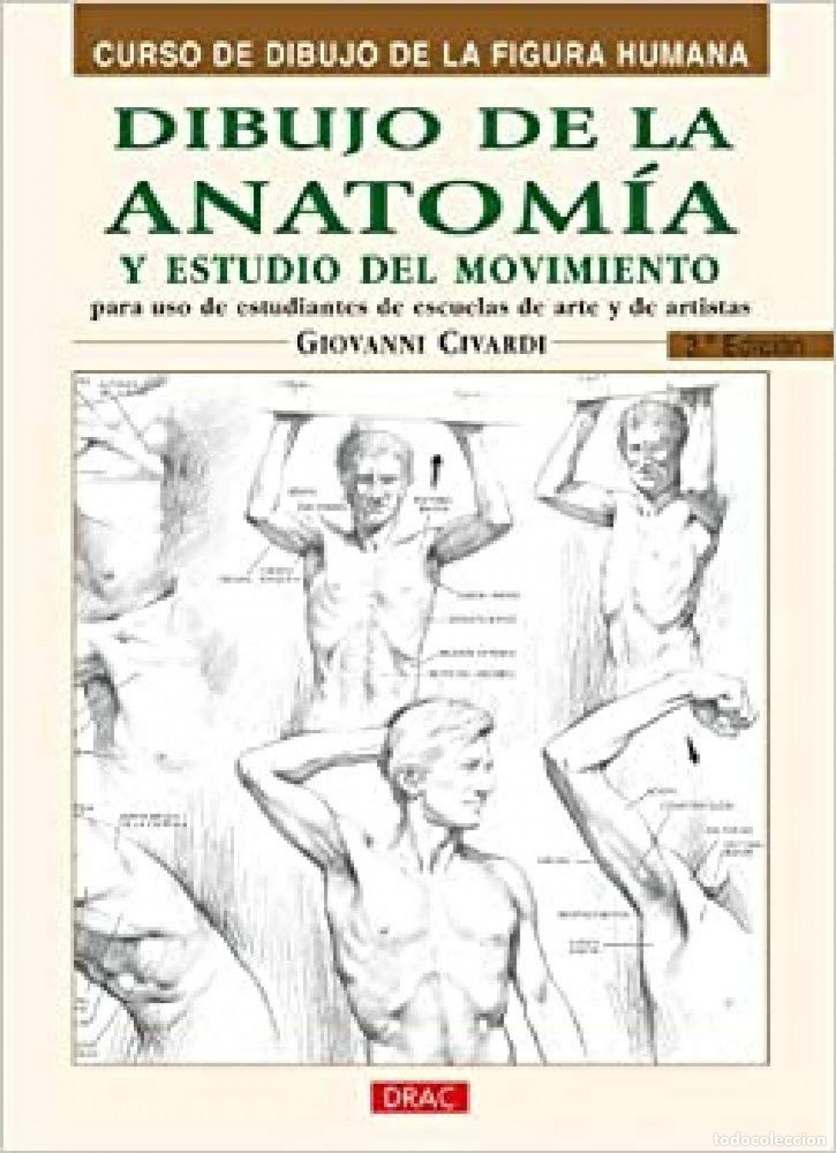 Libri: DIBUJO DE LA ANATOMIA Y ESTUDIO DEL MOVIMIENTO - Civardi, Giovanni