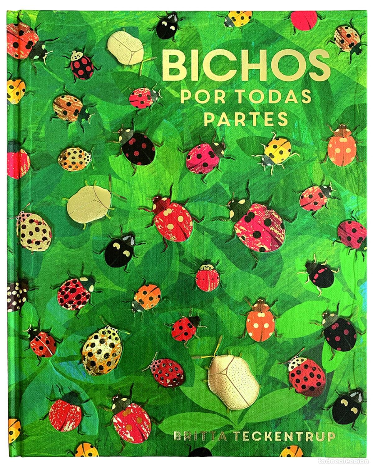 Libri: BICHOS POR TODAS PARTES - Teckentrup, Britta