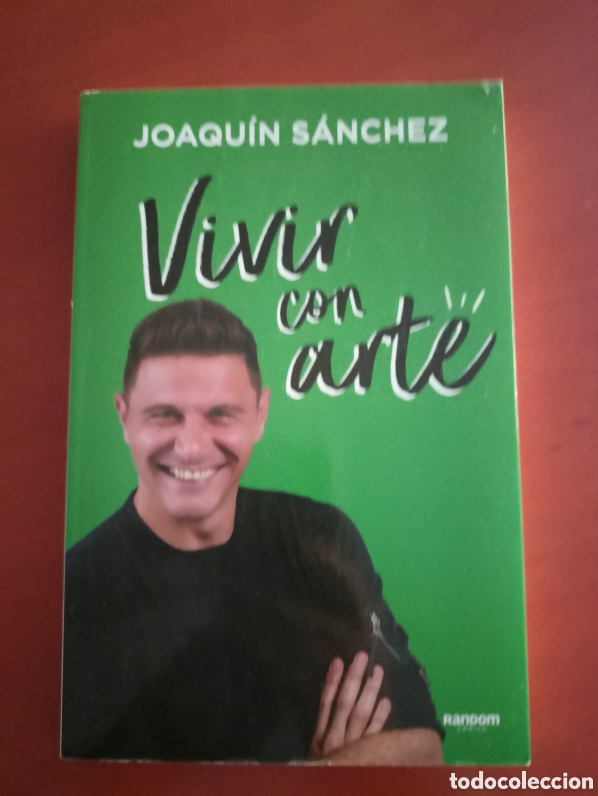 Libros: Vivir con arte. Joaqu&iacute;n S&aacute;nchez. - Foto 1