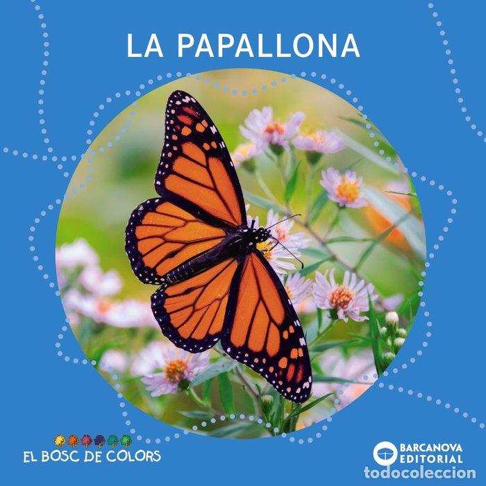 books: LA PAPALLONA - BALDO, ESTEL