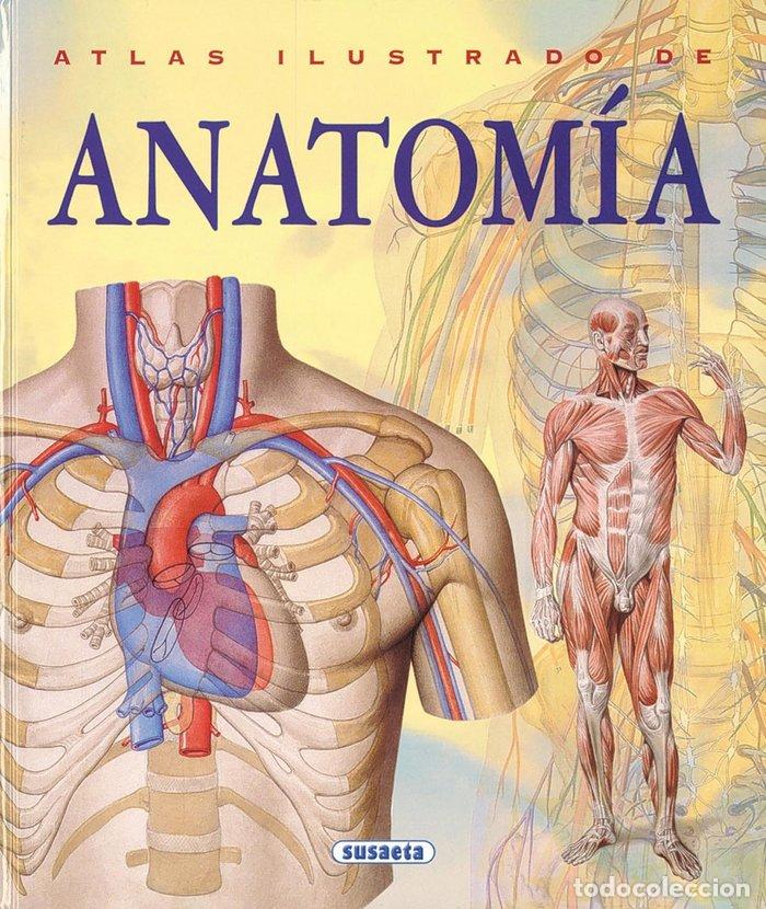 Livres: ATLAS ILUSTRADO DE ANATOMIA - AA