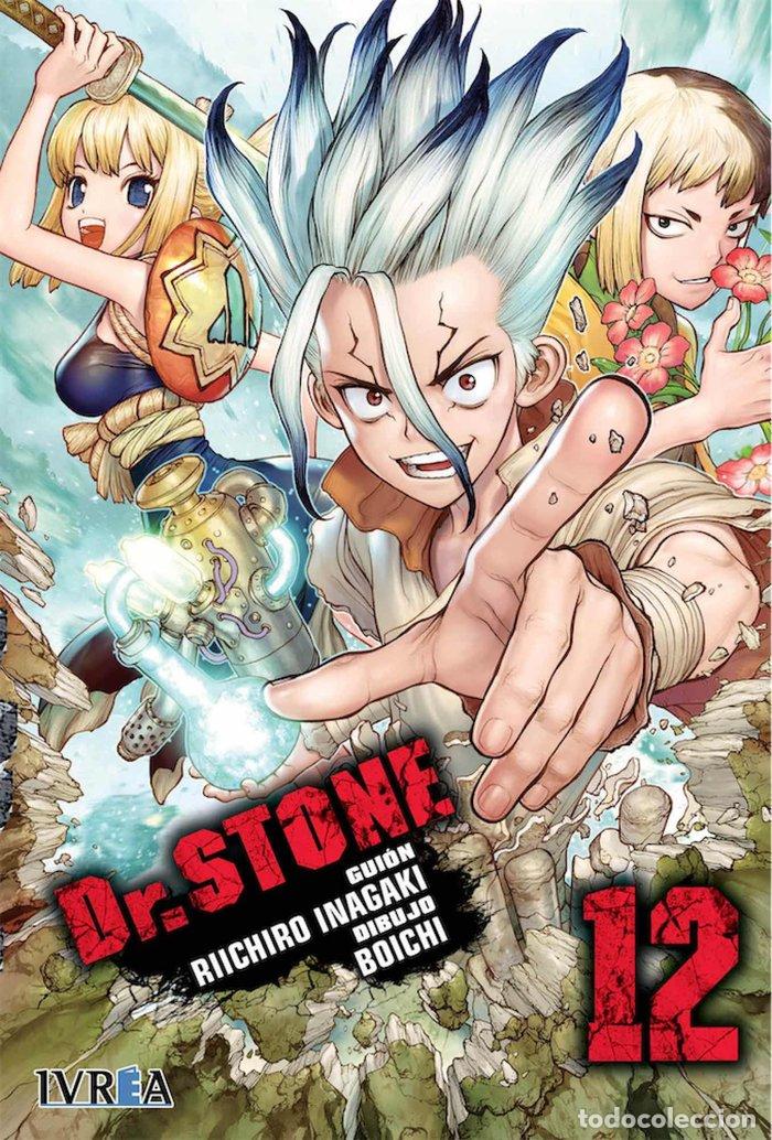 B&uuml;cher: DR STONE 12 - INAGAKI, RIICHIRO