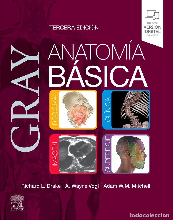 B&uuml;cher: GRAY ANATOMIA BASICA - Anatomia